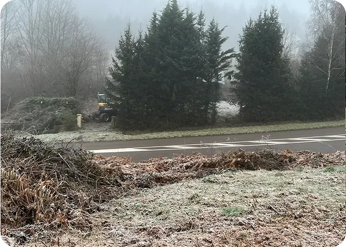 DÉBROUSSAILLAGE